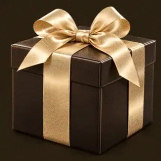 Wrapped gift box — Bsb007